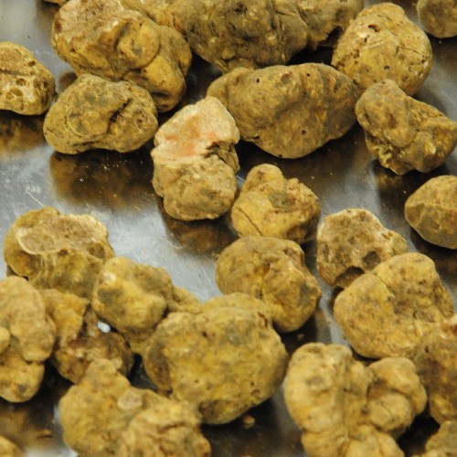 1 Kg Di Tartufo Bianco Prezzo