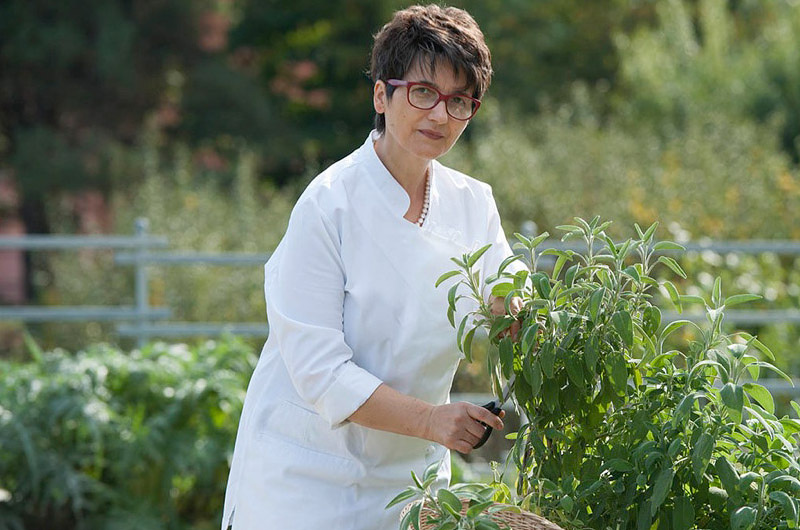 Chef ELIDE MOLLO