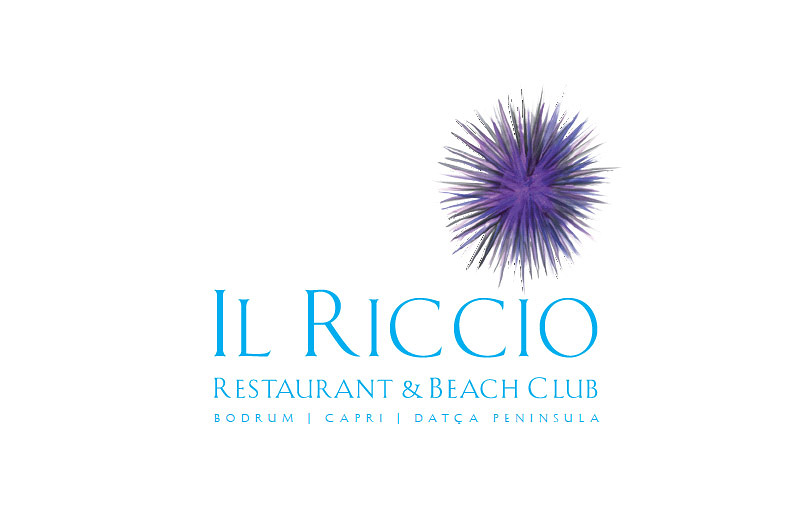 IL RICCIO - Ristorante