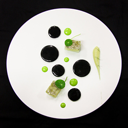 METAMORFOSI - Ristorante