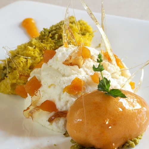 Soffice di ricotta con sorbetto di albicocche e basilico, pistacchio e cristalli di miele - Piatti: Soffice di ricotta
