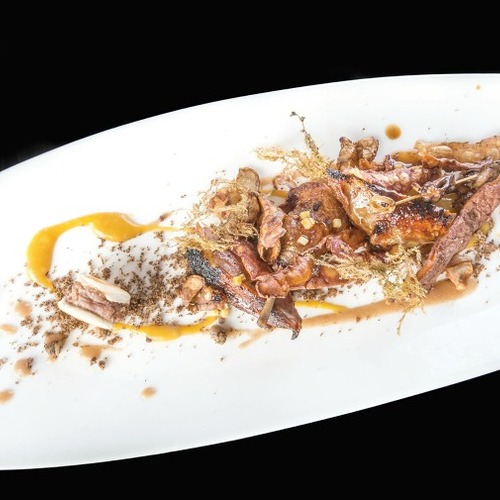 Nel piatto 'Piccione e il bosco' il piccione è immerso in finte cortecce di topinambur, muschio all'arancio, terra di datteri e caffè, gocce di frutto della passione. Nel piatto
si nascondono uno spiedino di piccione laccato al miele di castagno, uno spiedino d’interiora e un mini hamburger d’ala di piccione. - Piatti: Piccione e il bosco - Serva