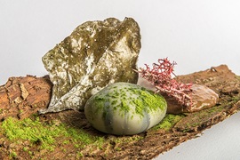Franco Aliberti - Wild Nature: ceci, muschio, artemisia, rosmarino, alloro, licheni, foglie