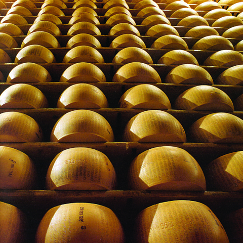 Parmigiano Reggiano Lunga stagionatura